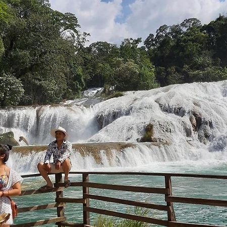 Posada Tzeltal Arroyo Agua Azul المظهر الخارجي الصورة