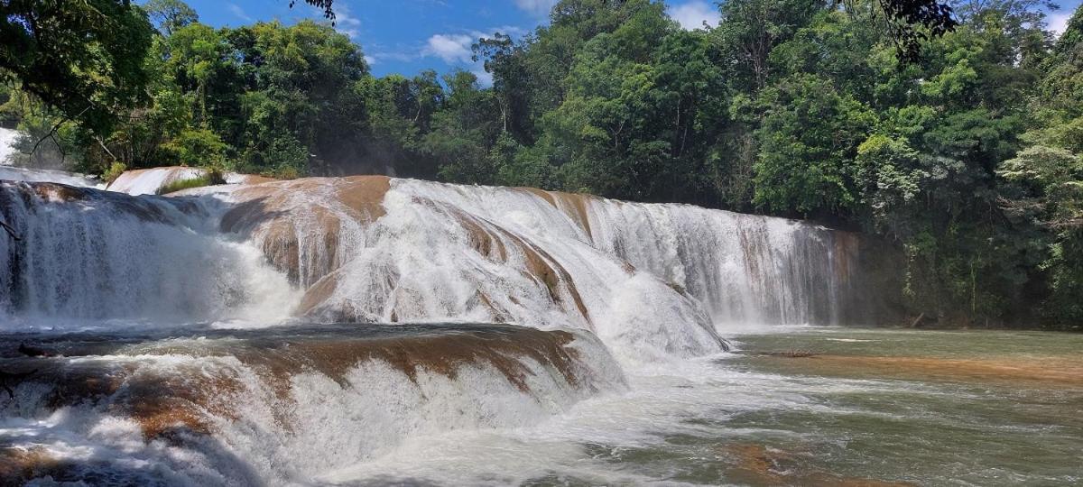 Posada Tzeltal Arroyo Agua Azul المظهر الخارجي الصورة